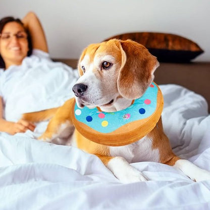 Collerette chien style donut bleu