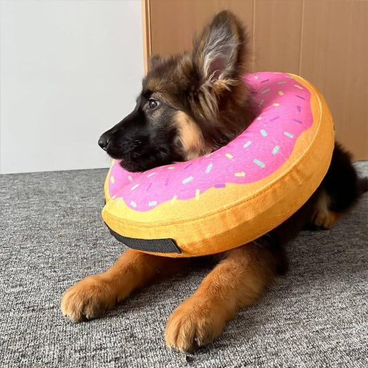 Collerette chien style donut rose sur un chiot