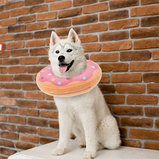 Collerette chien style donut rose sur un husky