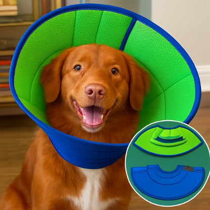 collerette-chien-sur-un-chien-de-taille-moyenne