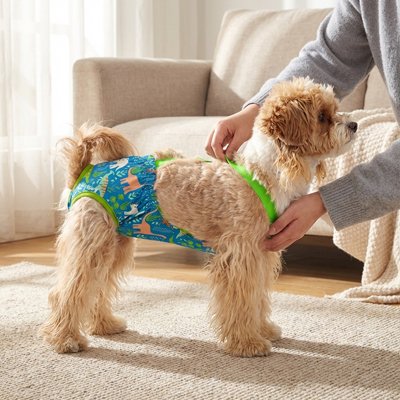 couche chien avec brettelle