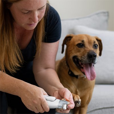 Coupe griffe chien avec lumière LED