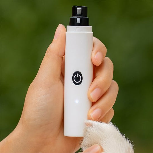 Coupe griffe Chien | PetSecure - Royaume aniwoof