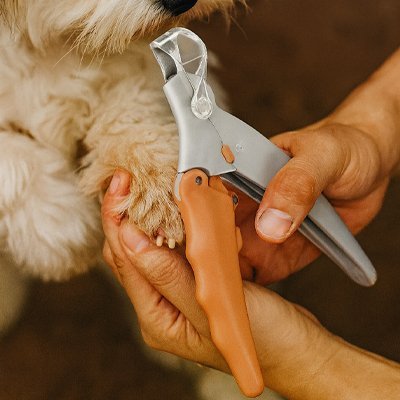 Coupe griffe Chien | SécuriClip - Royaume aniwoof