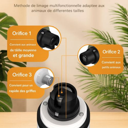 coupe on chien avec mode emploi