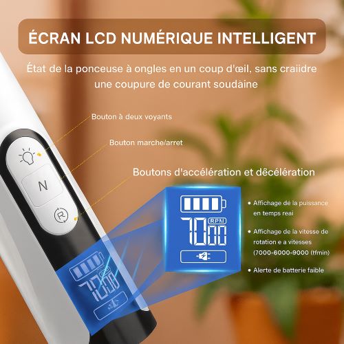 coupe ongle chien avec les avantages