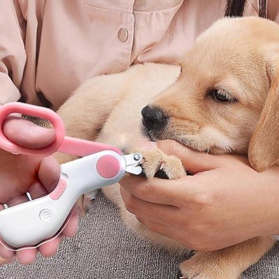 Coupe Ongle pour Chien rose
