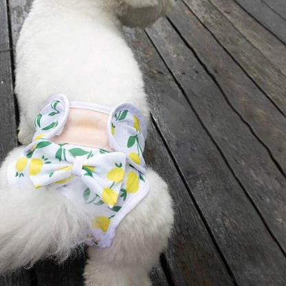 Culotte chien couleur jaune et blanc