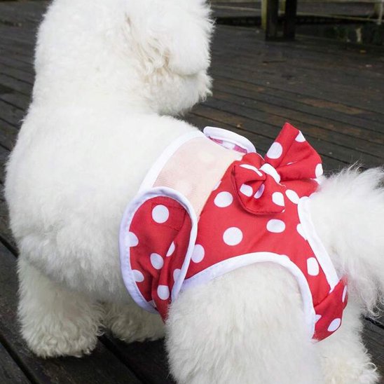Culotte chien couleur rouge picoté blanc