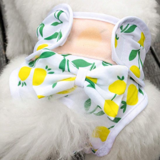 Culotte chien motif citronné