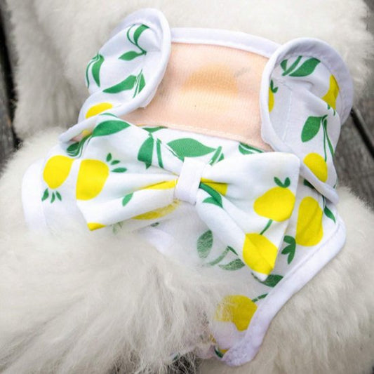 Culotte chien motif citronné
