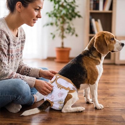 Culotte pour chien​ ajustable pour petit et grand chien
