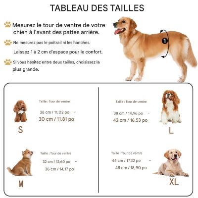 Culotte pour chien | EcoComfy