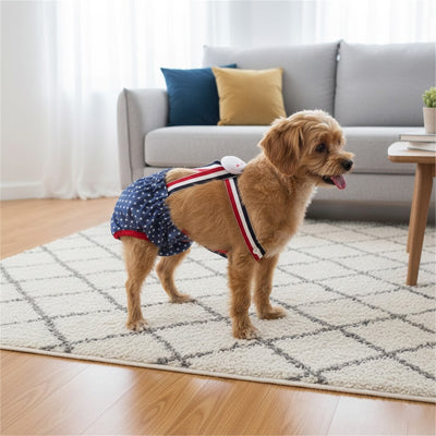 Culotte pour chien | DogProtect.Ra
