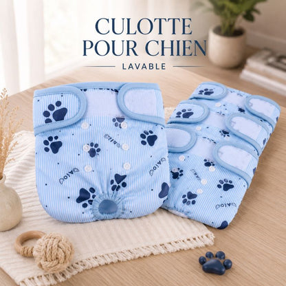 Culotte pour chien | WoofCocoon