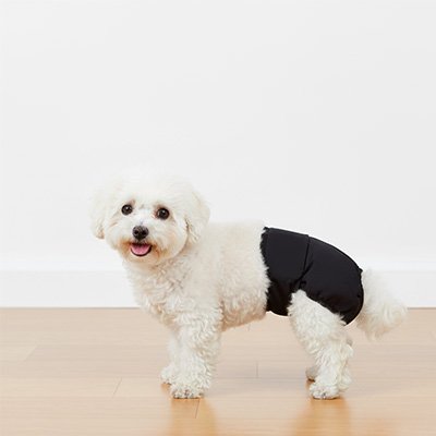 Culotte pour chien couleur noir