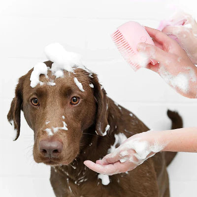 Brosse Chien | PawRelaxShower™