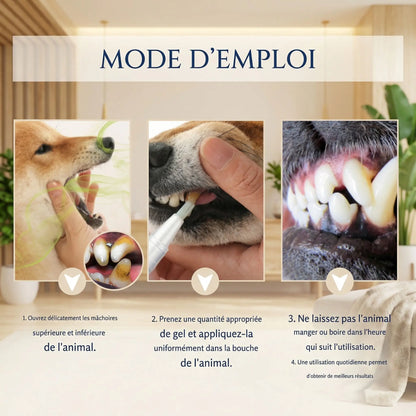 dentifrice chien avec le mode utilisation