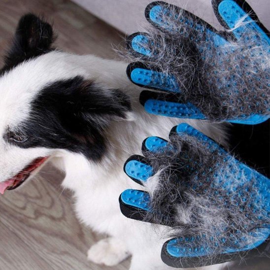 Gant de toilettage | PetBrush 2 - en - 1 - Royaume aniwoof