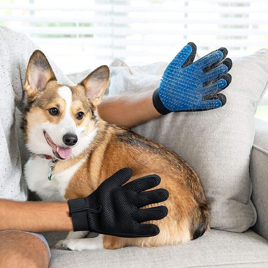Gant de toilettage | PetBrush 2 - en - 1 - Royaume aniwoof