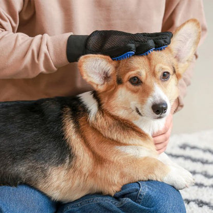 Gant de toilettage | PetBrush 2 - en - 1 - Royaume aniwoof