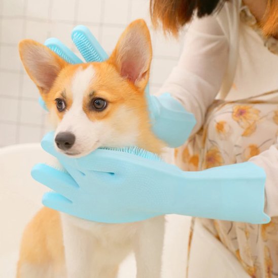 Gant de toilettage | PetGroomer - Royaume aniwoof