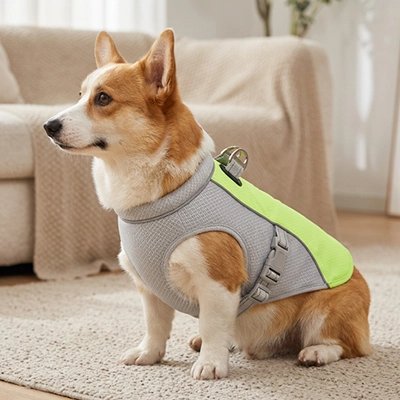 Gilet rafraichissant chien avec sangle ajustable  