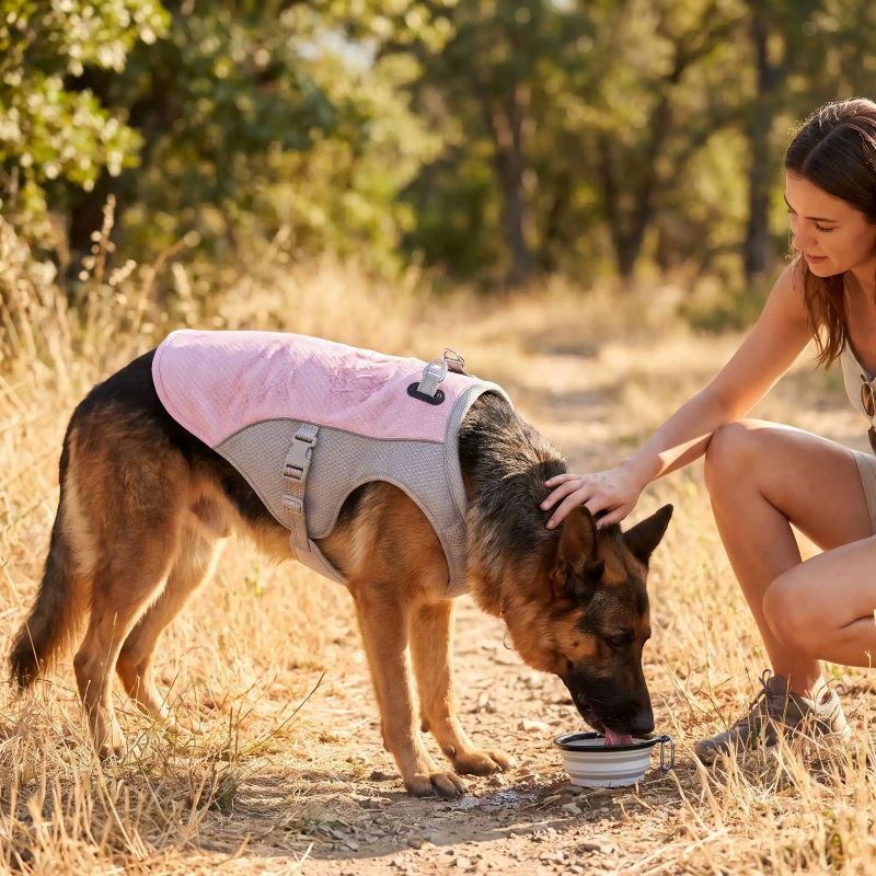 Gilet rafraichissant chien | WoofChill