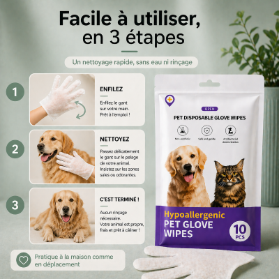 lingette-chien-3-etape-simple