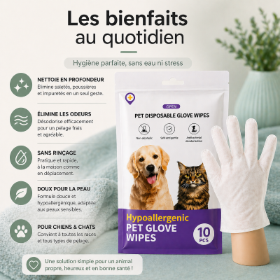lingette-chien-et-les-bienfaits-au-qotidien