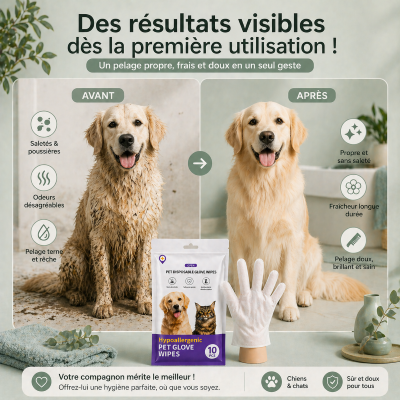 lingette-chien-resultat-super-rapide