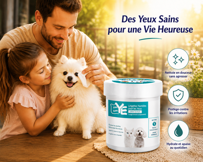 lingette-chien-sans-irritation