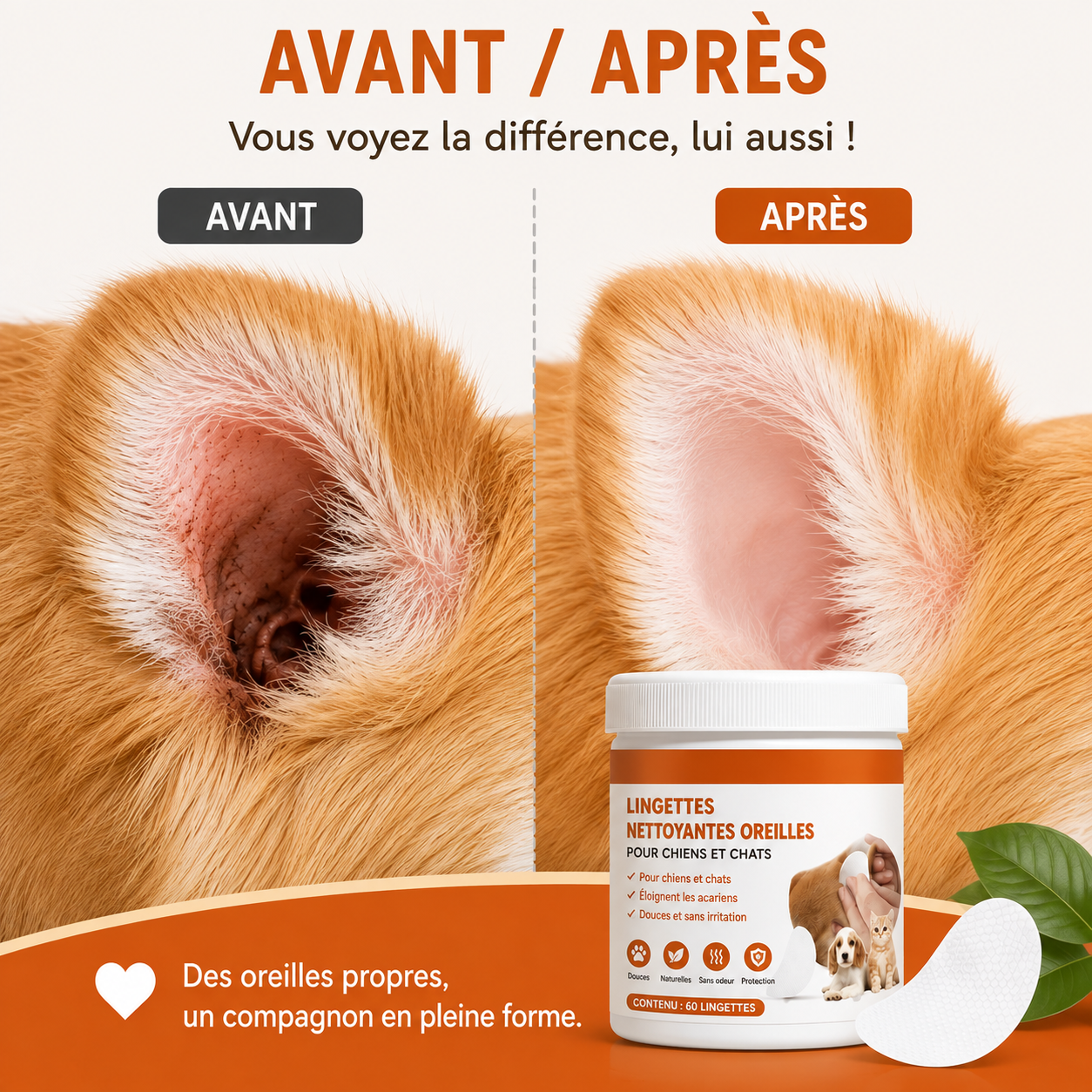 lingette-pour-chien-resultat-rapide