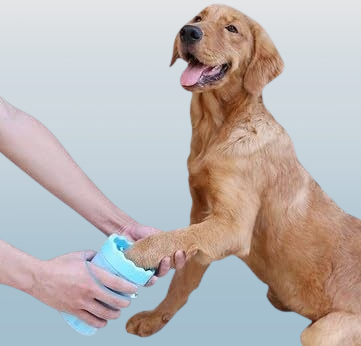 nettoyeur patte chien doux pour les pattes