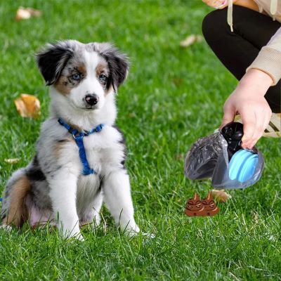 Ramasse crottes pour chien | Clean'N'Go