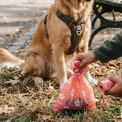 Sac a crotte | EcoPaw.Ra