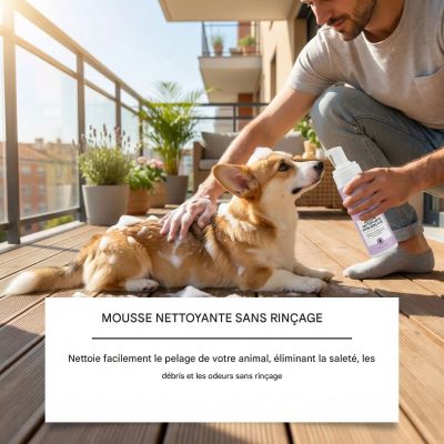 shampoing-chien-sec-pour-tous-les-type-poil