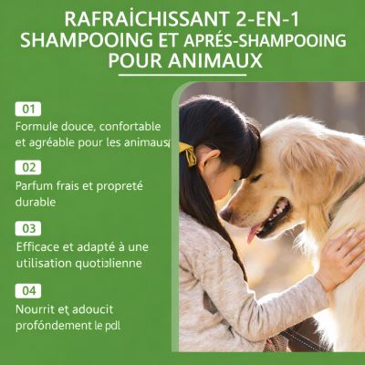 shampoing-pour-chien-et-les-caracteristiques