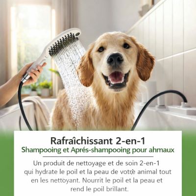 shampoing-pour-chien-qui-nourrit-le-poil