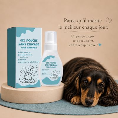Shampoing Sec Chien | CozyWash
