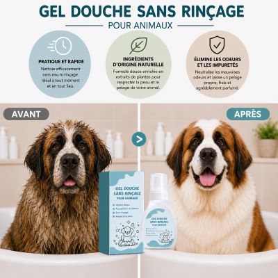 Shampoing Sec Chien | CozyWash