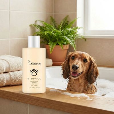shampooing pour chien doux et soyeux
