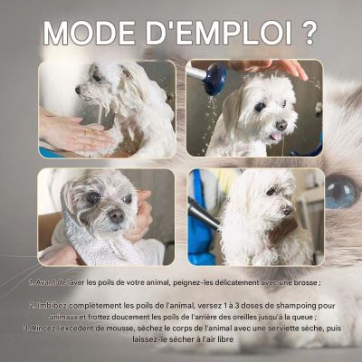 shampooing pour chien facile a utiliser