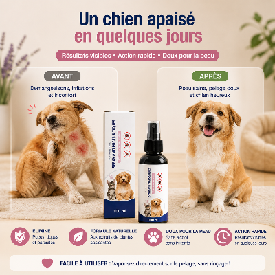 spray-antiparasitaire-chien-action-rapide-et-efficace