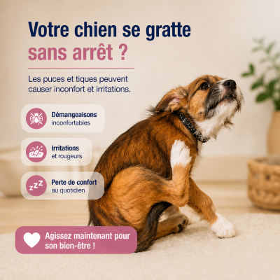 spray-antiparasitaire-chien-qui-soulage-rapidement
