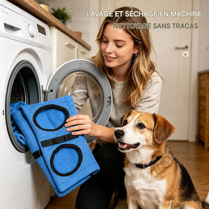 Tables de Toilettage pour Chiens | WoofGroomy