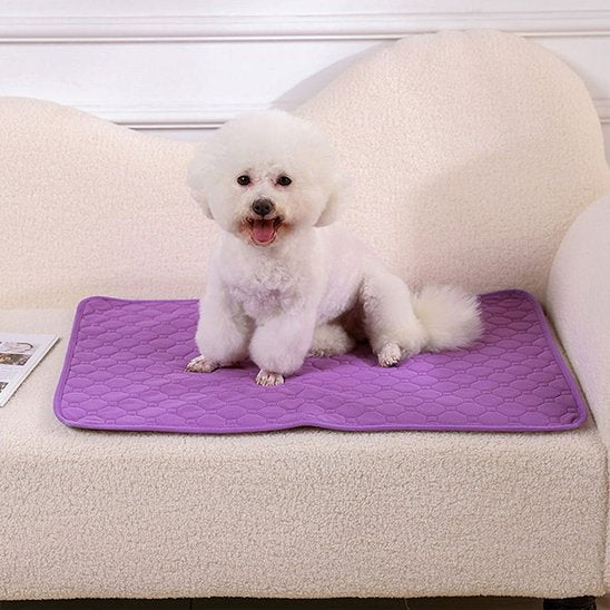 Tapis absorbant chien | Lavable & Réutilisable - Royaume aniwoof