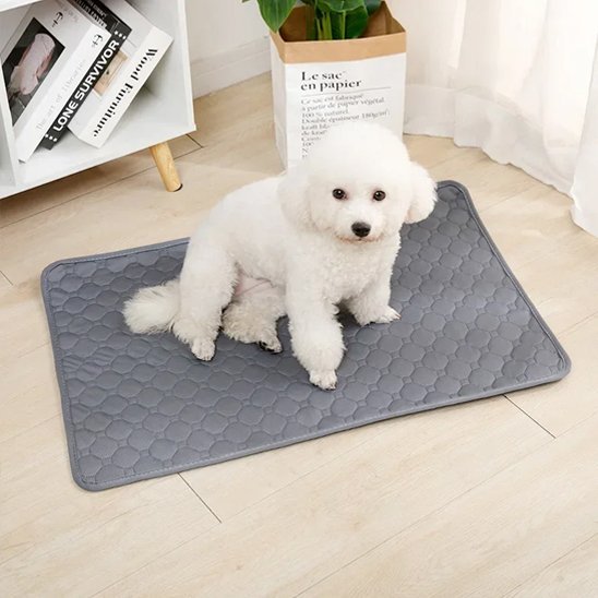 Tapis absorbant chien | Lavable & Réutilisable - Royaume aniwoof