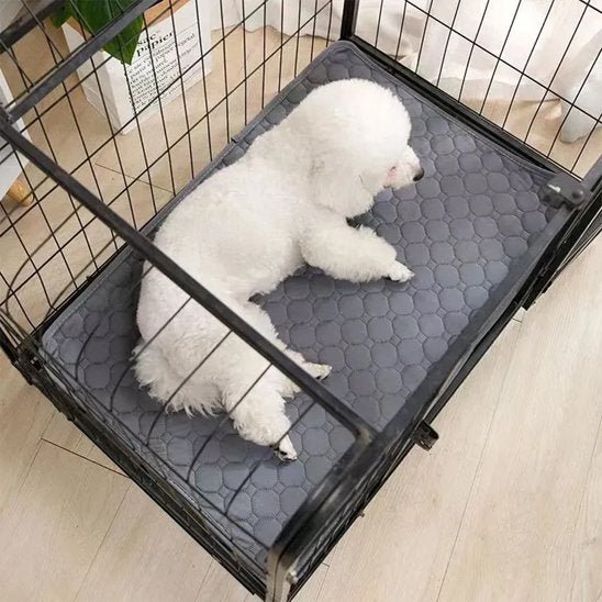 Tapis absorbant chien | Lavable & Réutilisable - Royaume aniwoof