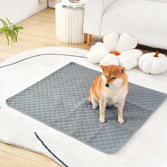 Tapis absorbant chien | Lavable & Réutilisable - Royaume aniwoof